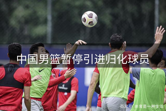 中国男篮暂停引进归化球员