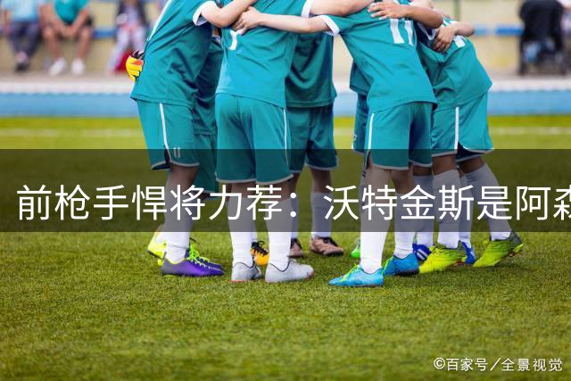 前枪手悍将力荐：沃特金斯是阿森纳夺冠的最后拼图