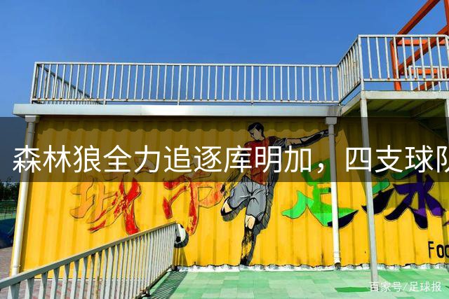 森林狼全力追逐库明加，四支球队掀锋线人才争夺战